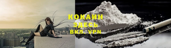 спайс Алзамай