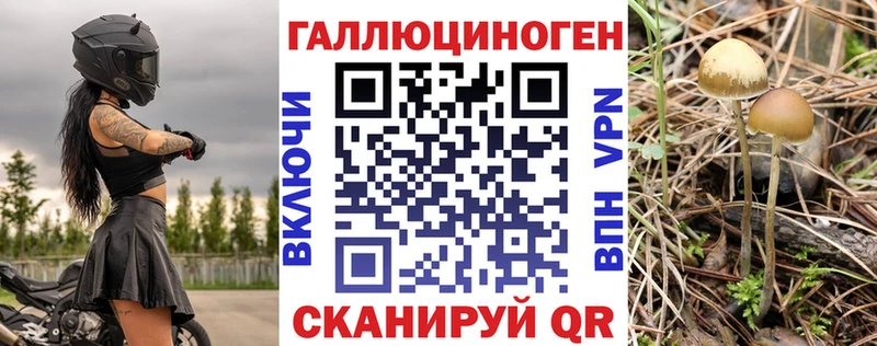 гидра ТОР  Лахденпохья  Галлюциногенные грибы Cubensis  где найти наркотики 